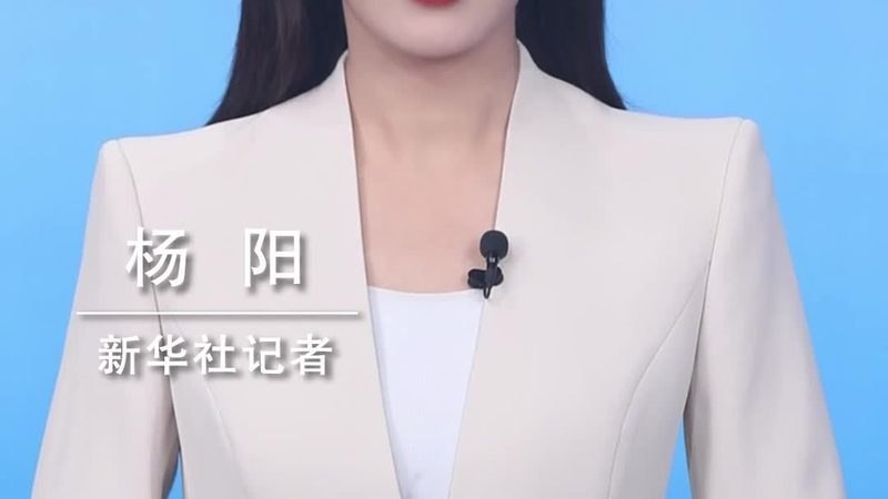 数据湖与数据仓库：揭秘两者之间的本质区别