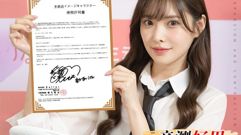 政府单位数据安全访问控制：守护信息安全的关键策略